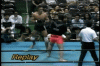 uppercut 2 Roy van de Wal vs Kenichi Ogawa.gif