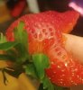 Strawberry 2.jpg