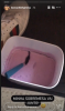 CostaGelo1.png