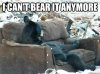 I+cant+bear+it+anymore_8925c1_7133896.jpg