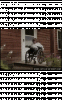 20210709_132114.gif