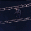 tenor (4).gif
