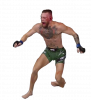 mcgregor poirier 3 2.png