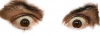 Eyes2.png