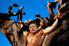 OrtegTreeofWoe.png