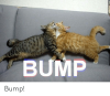 384B9395-EF05-4D09-83D1-9CBDA7AB8374.png
