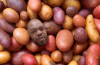 1637034398338.png