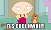 its-cool-hwhip.jpg