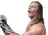 shawn-michaels-bj2.gif