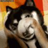 200.gif