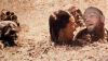 20210125_091346.png