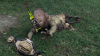 20210124_090227.png