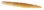 tooth-pick.png
