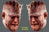 AlexGustaffsonVirtuallyIdentical3.gif