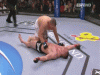 ihaaw12.gif
