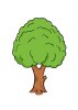 How-to-draw-tree-7.jpg
