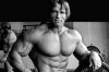 Arnold-Schwarzeneggers-Diet-and-Workout-Plan.jpg