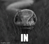 51ld1n.gif