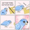 5q8aqfyom0m81.jpeg