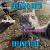565.gif