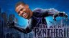 kevin holland black panther ii.jpg