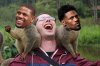 kevin holland lughing lemurs.jpg