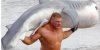 brock shark.jpg