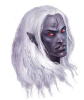 Lone Drow 6.png