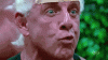 f1dcc89b_ricflair.gif