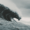 IMG_20220821_095935_01.gif