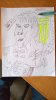 WP_20210129_13_34_36_Pro.jpg