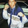 skoden.jpg