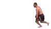 stipe_template.png