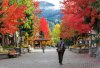 whistler-in-fall2.jpg