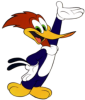 Woody_Woodpecker.png