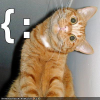 cat smile.png