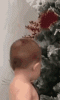 6212350832557338005.gif