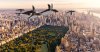 Penguins-NYC-1.jpg