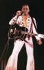 Elvis-lives-LOL.jpg