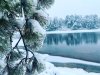 12D419B3-A509-4571-B8F1-EDEA1ADAB090.jpeg