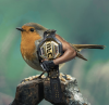 bird.png