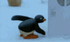 IMG_20221221_023415_01.gif
