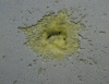 20230303_182231.gif