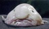 Cheer-up-youre-a-winner-T-001.jpg
