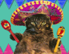 9C0DBDF5-6741-455C-AC55-64723C0A6FBB.gif