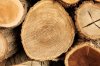 top-view-wood-logs_23-2148795872.jpg