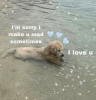 dog-sorry-make-u-mad-sometimes-love-u.png