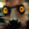 20230112_111024.gif