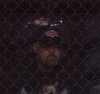 IMG_0818.jpeg