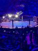 IMG_0395.jpeg